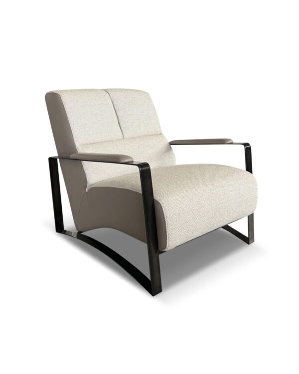 Chic Modern Lounge Chair
