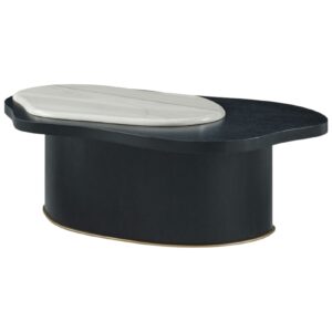 Organic Shapes Black Coffee Table