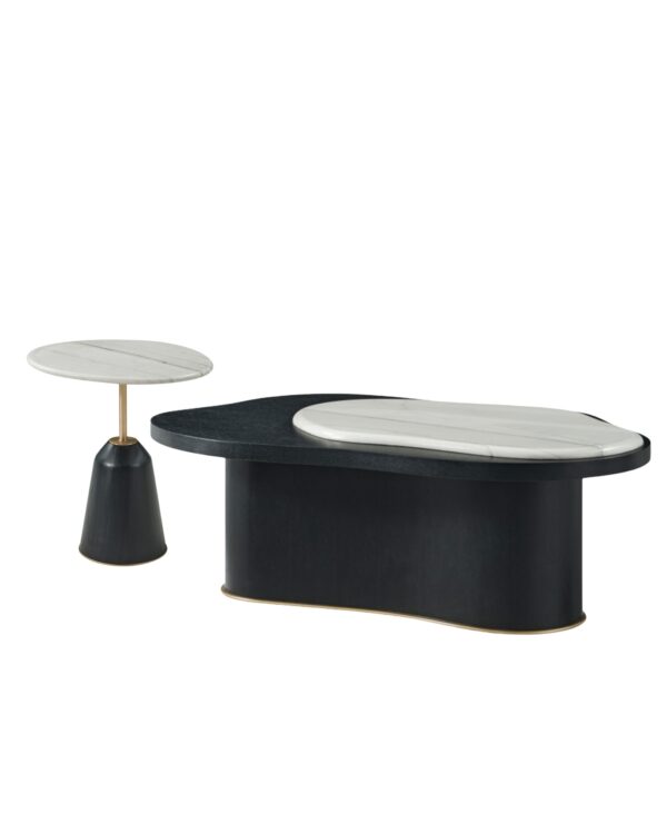 Organic Shapes Black Coffee Table - Image 3